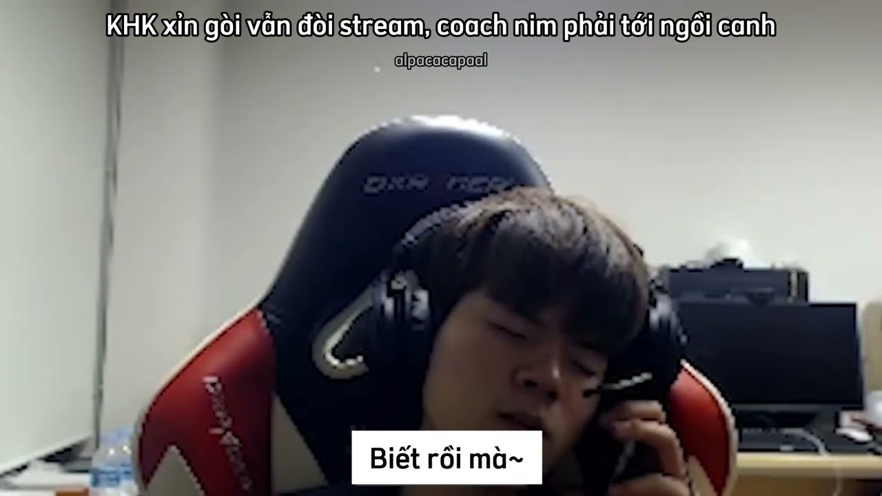 Deft stream vietsub| Lạc đà nhậu xỉn