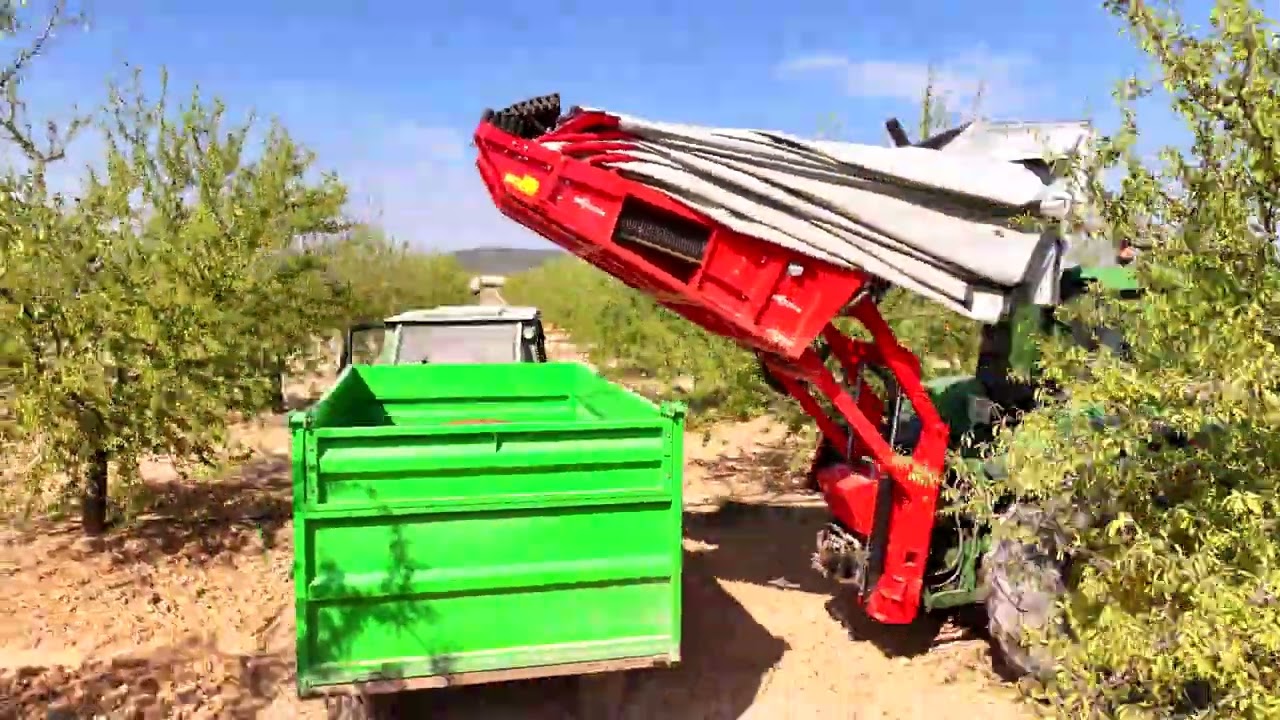 Recolector Almendra Trasero RT 155 P