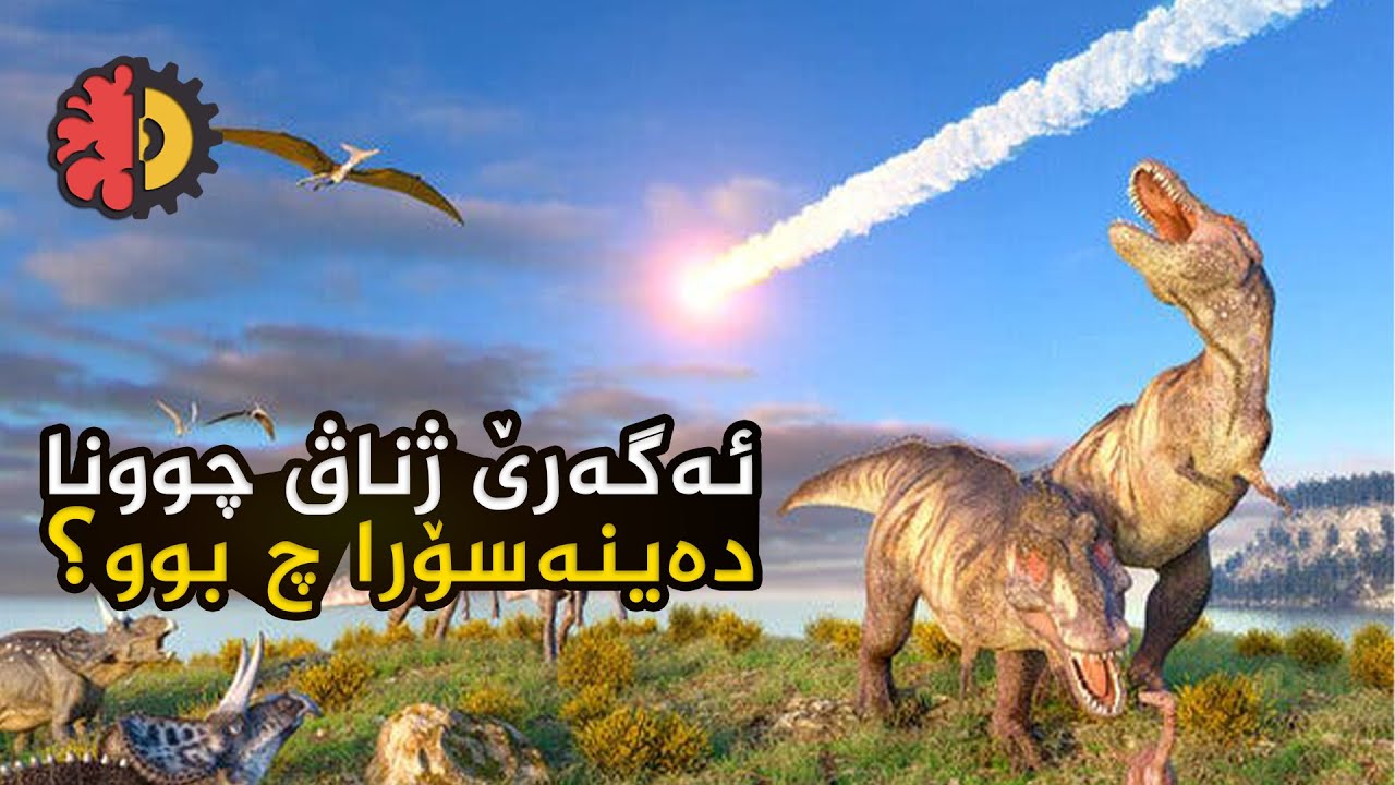 ئەگەرێ ژناڤ چوونا دەينەسورا چ  بوو؟