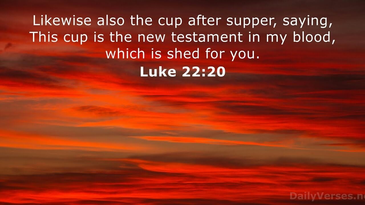 TAKE YAHWEH SERIOUSLY IN YO LIFE AND LEARN TO BE OBEDIENT, FREEWILL IS NOT PLAYED WITH! 💯👑😇🪽🕊️☝🏿✝️🙏🏿