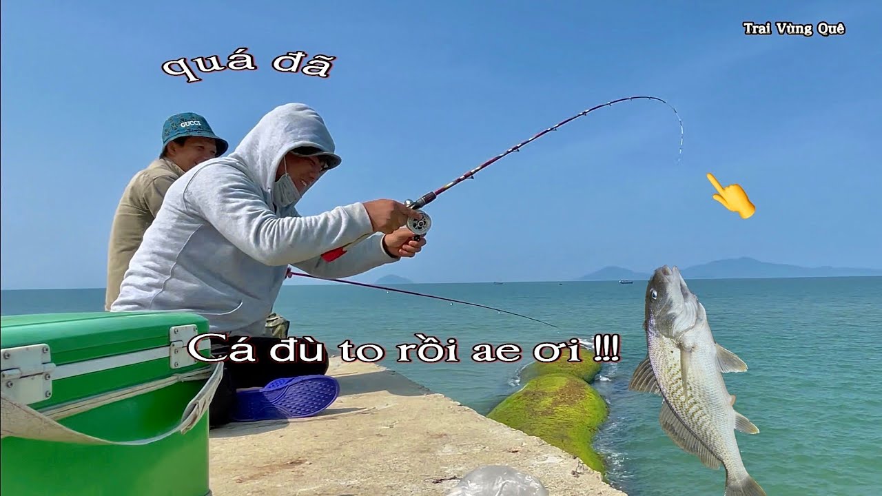 Trở Lại Bờ Kè Biển Cửa Đại Để Câu Cá Đù - Trúng Cá Lớn Ăn Mạnh Giật Mỏi Tay | cá đù, cá rô biển…