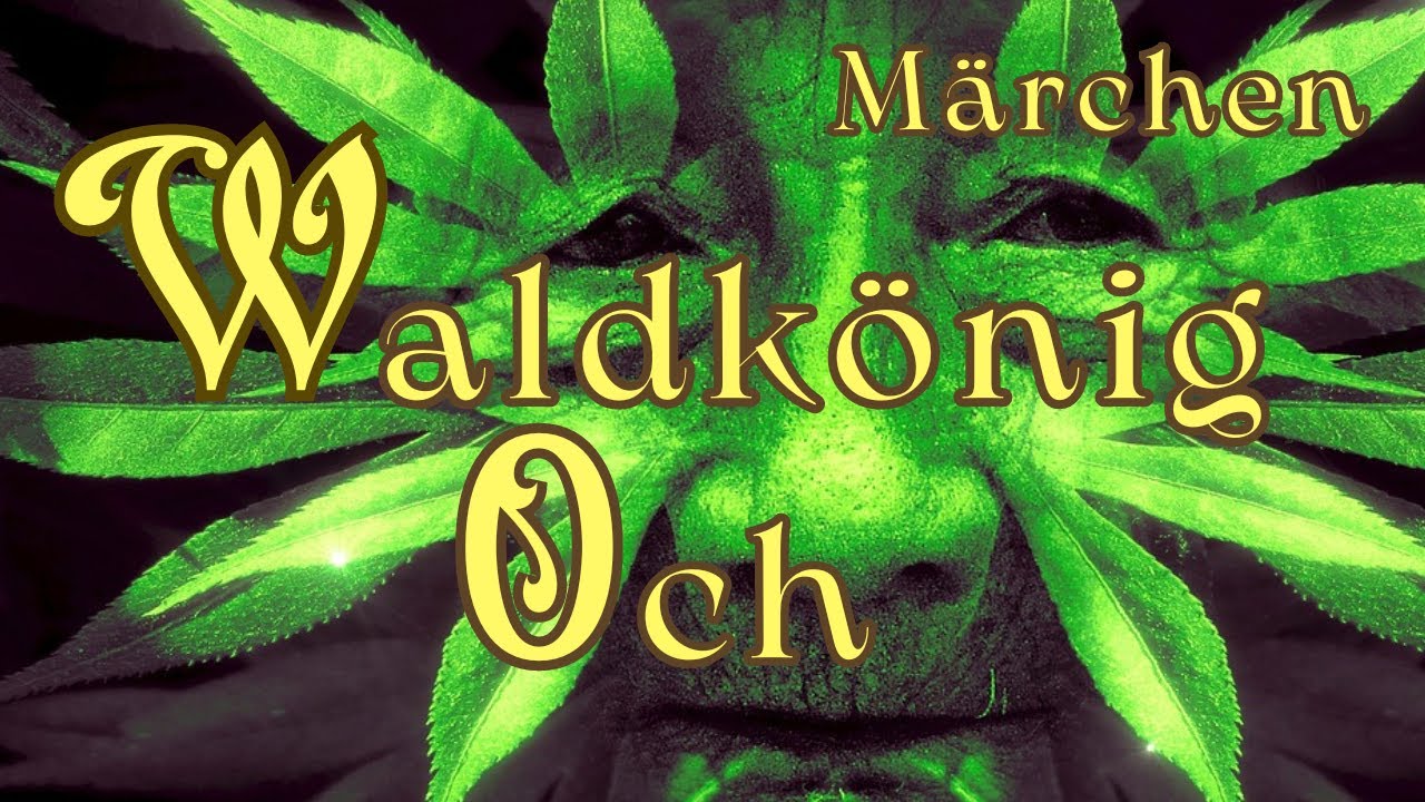 Märchen zum Träumen und Einschlafen. Hörbuch. Gute Nacht Geschichte.