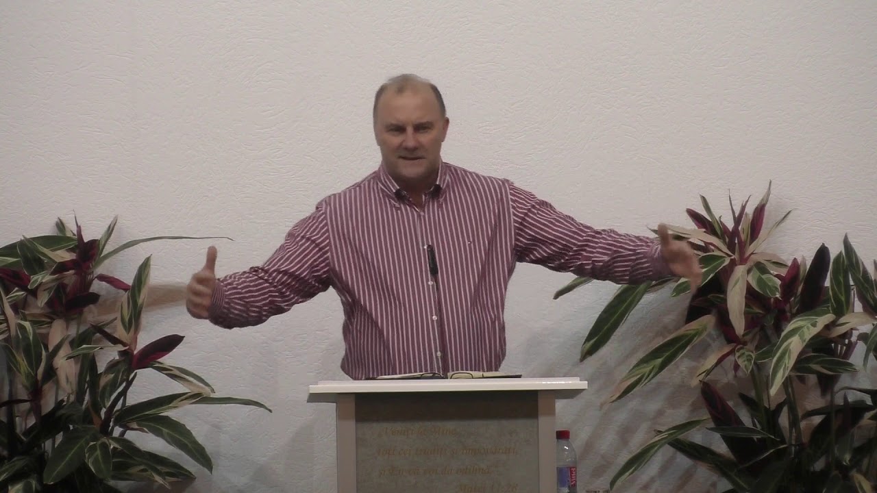Virgil Neagu - Aspecte ale unității bisericii