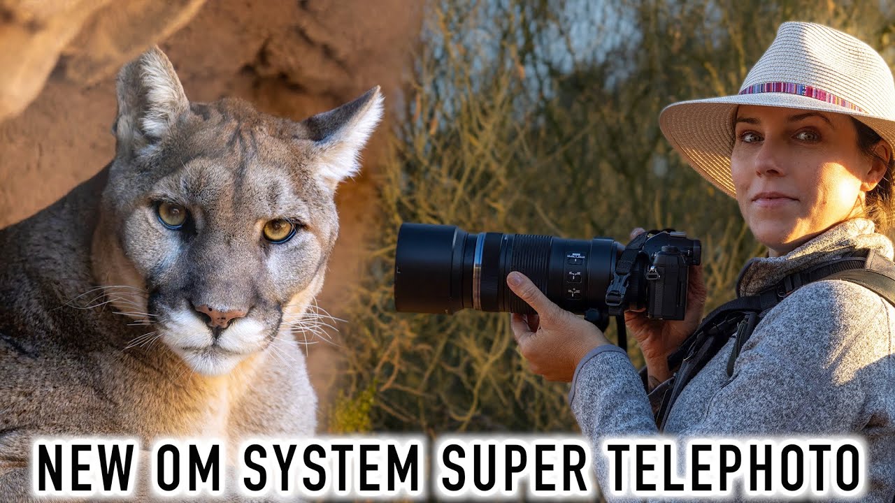 NEW Super Duper Telephoto Lens! OM SYSTEM ED 100-400mm f/5-6.3 IS II