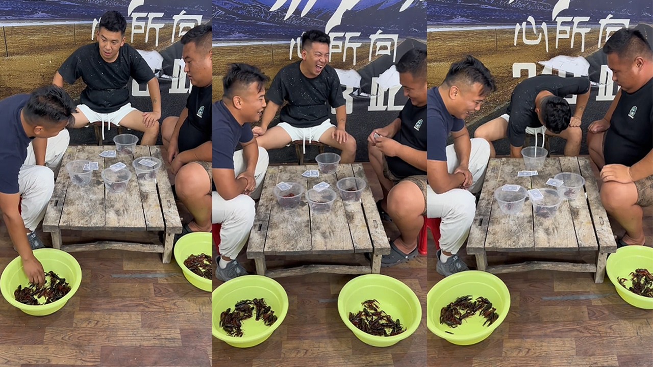 New poker game: Golden Flower, crayfish chest massage#funny#hilarious