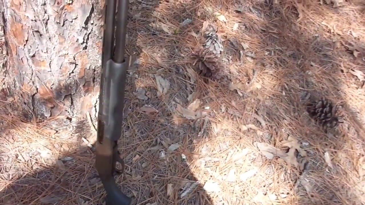 H&R Pardner pump 20 gauge shotgun