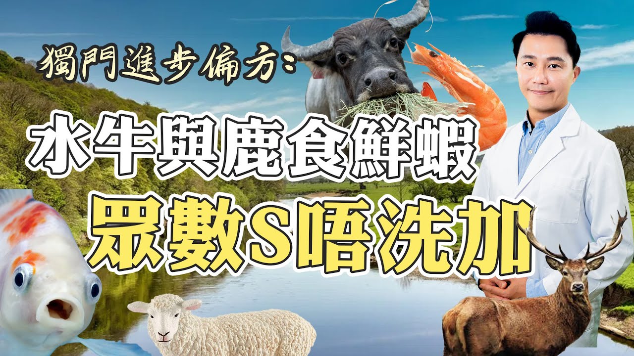 水牛與鹿食鮮蝦