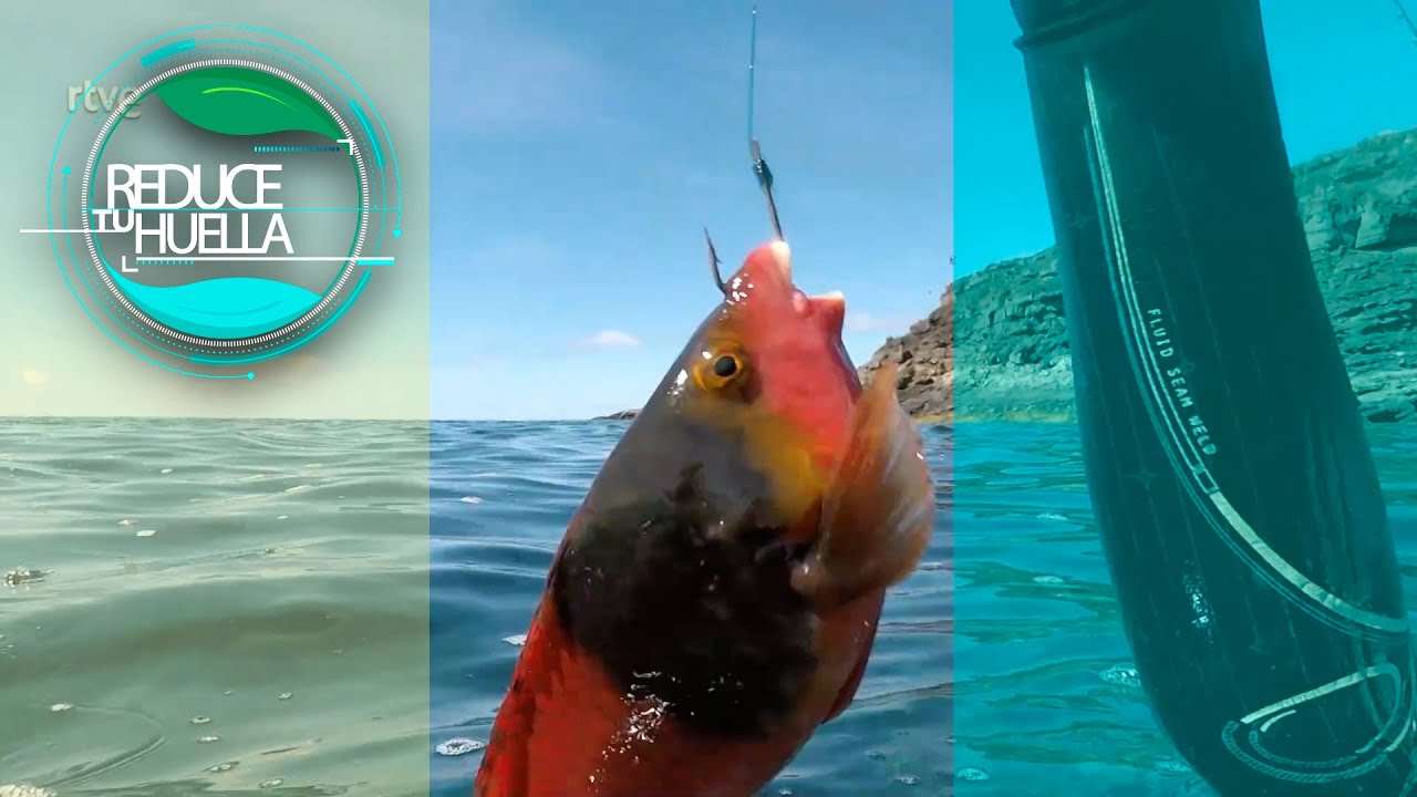 Pescando viejas en el Hierro - Reduce tu huella | La2