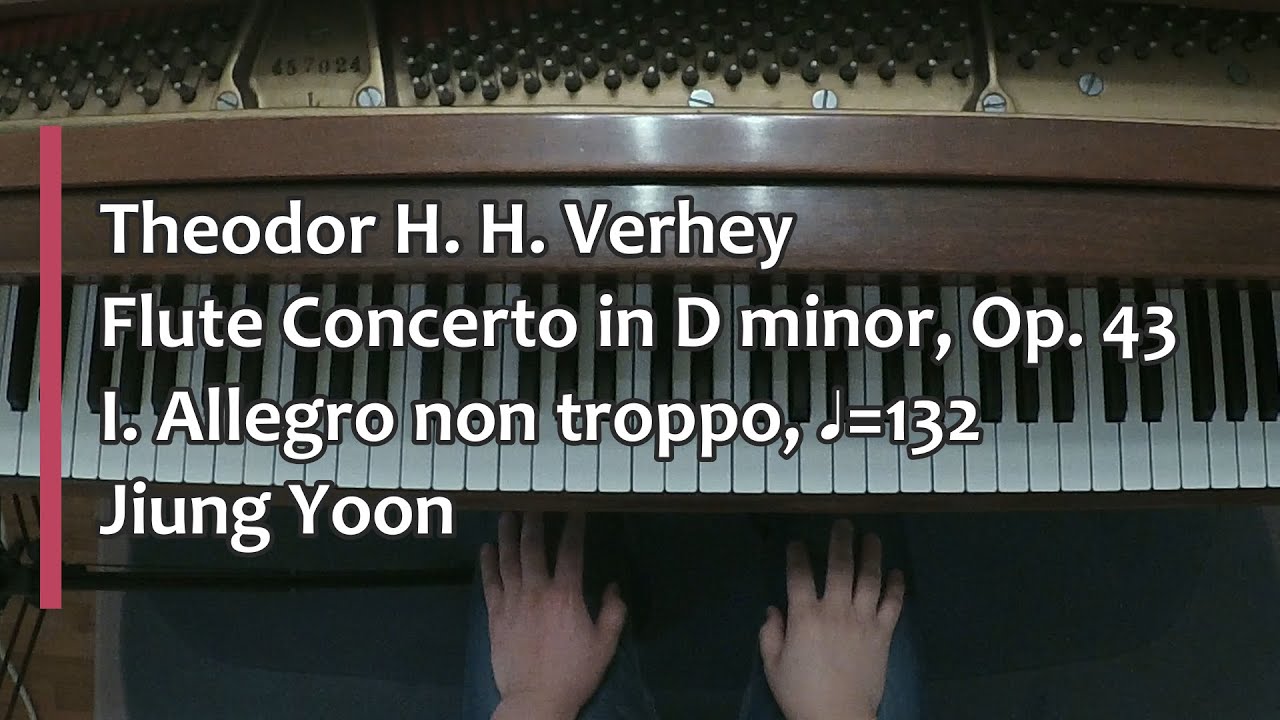 Piano Part - Theodor H. H. Verhey, Flute Concerto in D minor, Op. 43, I. Allegro non troppo, ♩= 132