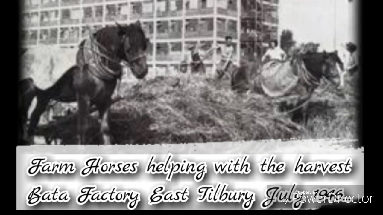 A Look back in Time, East Tilbury and Bata Estate Essex