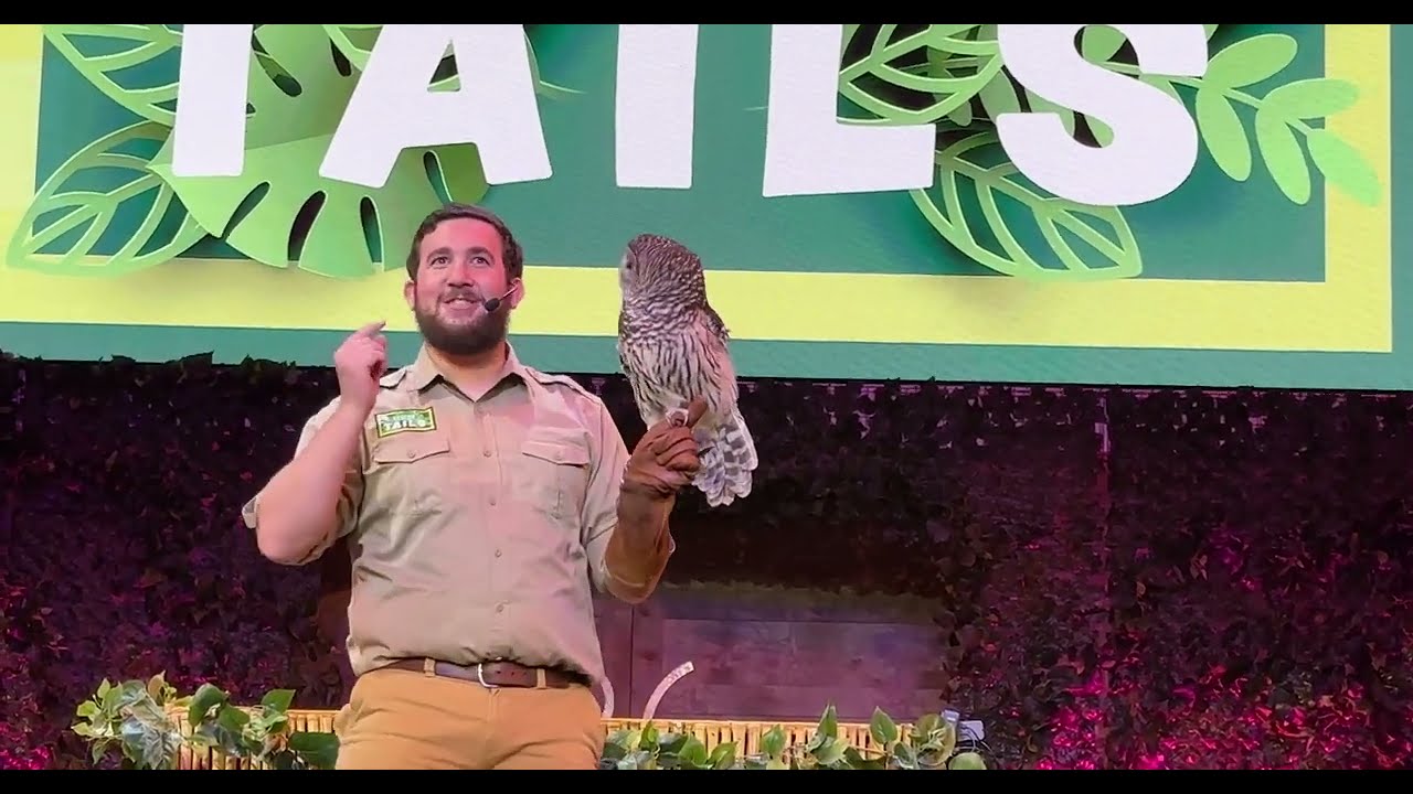 Rescue Tails - Busch Gardens Tampa All New Animal Presentation in Pantopia Theater