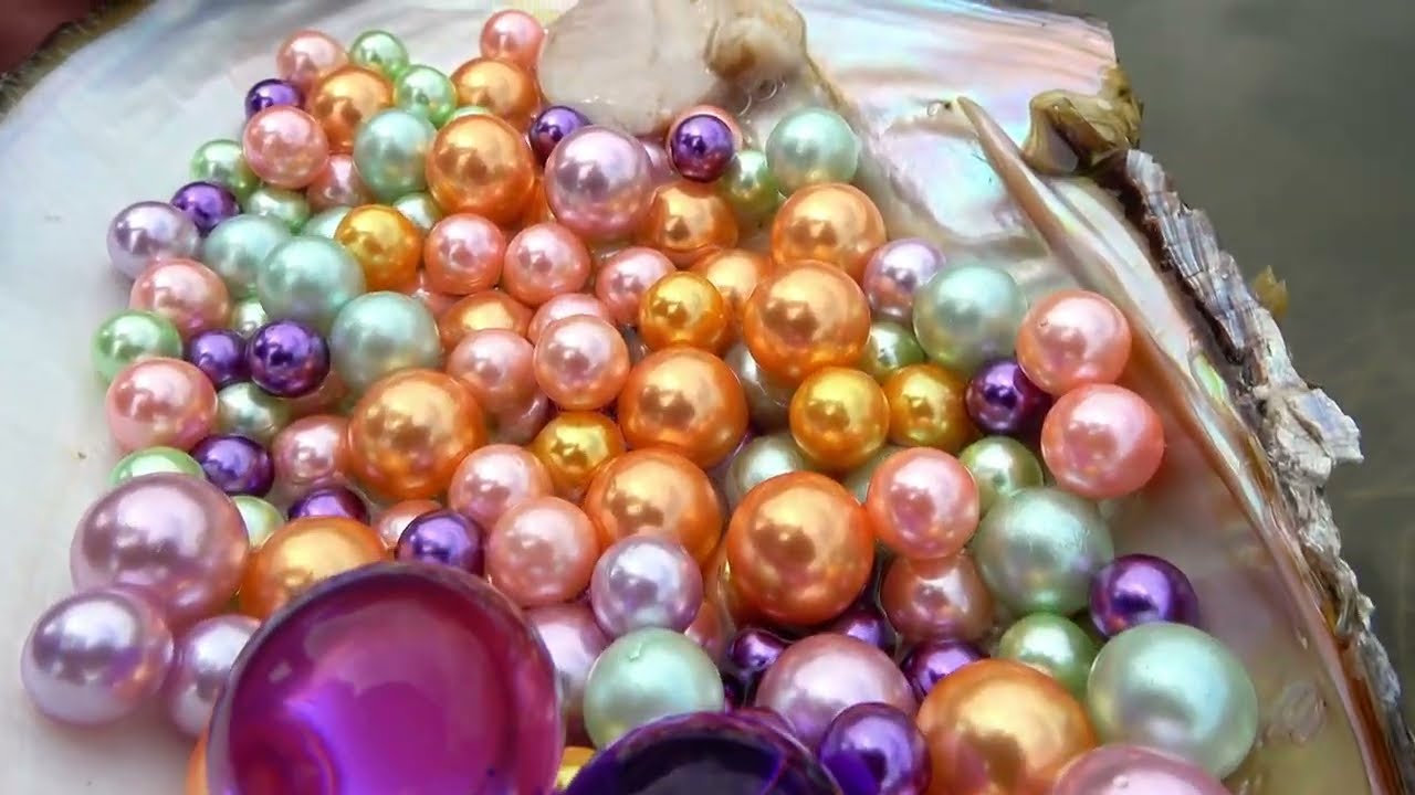 😱😱 Pearl Paradise Found: Girl’s River Hunt Uncovers a Clam of Unbelievable Wealth!