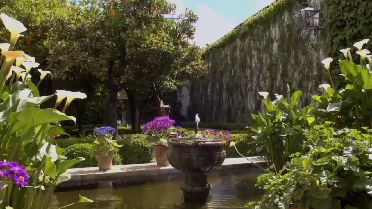 ESPECIAL PATIOS 2023