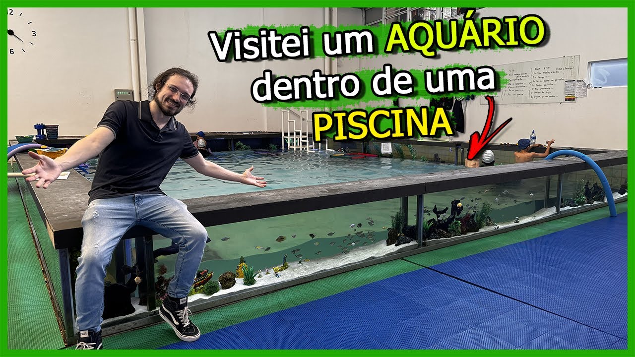 Visitei um AQUÁRIO dentro de uma PISCINA!