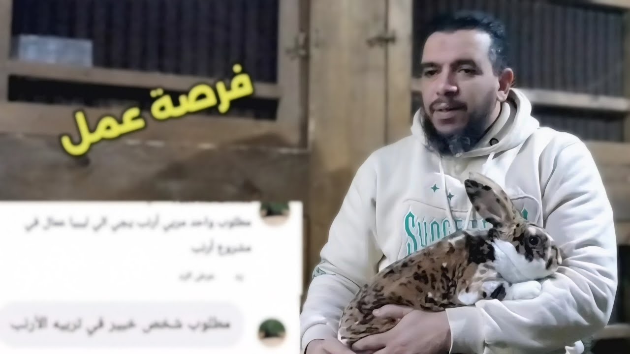 فرصة عمل في،مزرعة ارانب بيور 