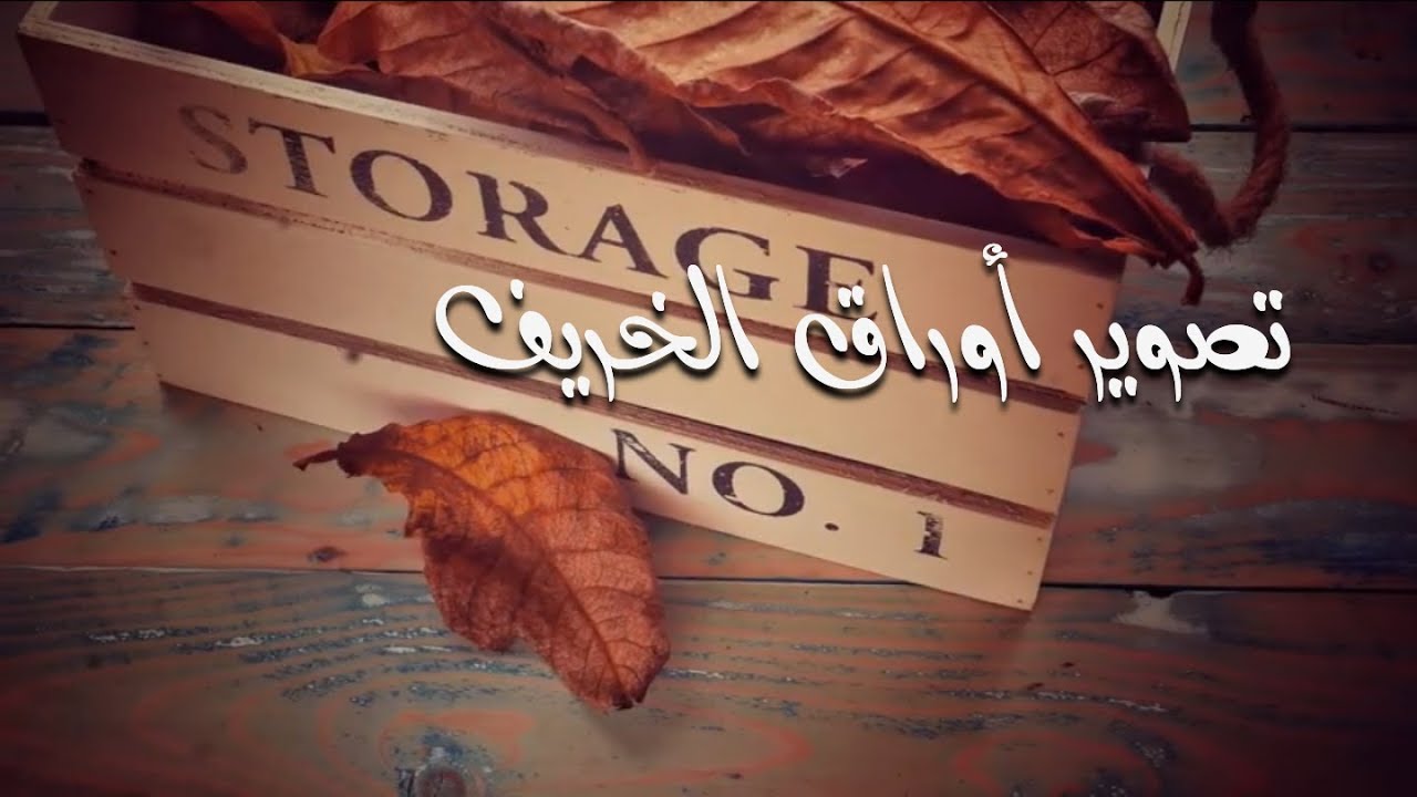 ورشة تصوير ٢٥   Still Life