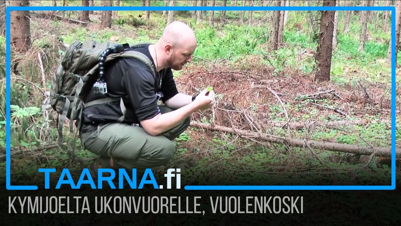 Upeita patikointimaisemia Kymijoelta Ukonvuorelle // Pakkasenmaa, Vuolenkoski, Iiitti // S01E02