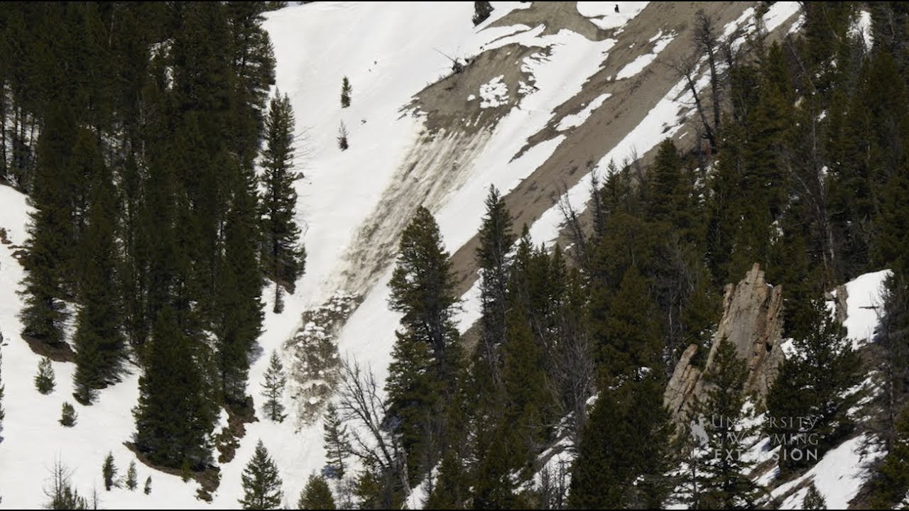 Avalanches
