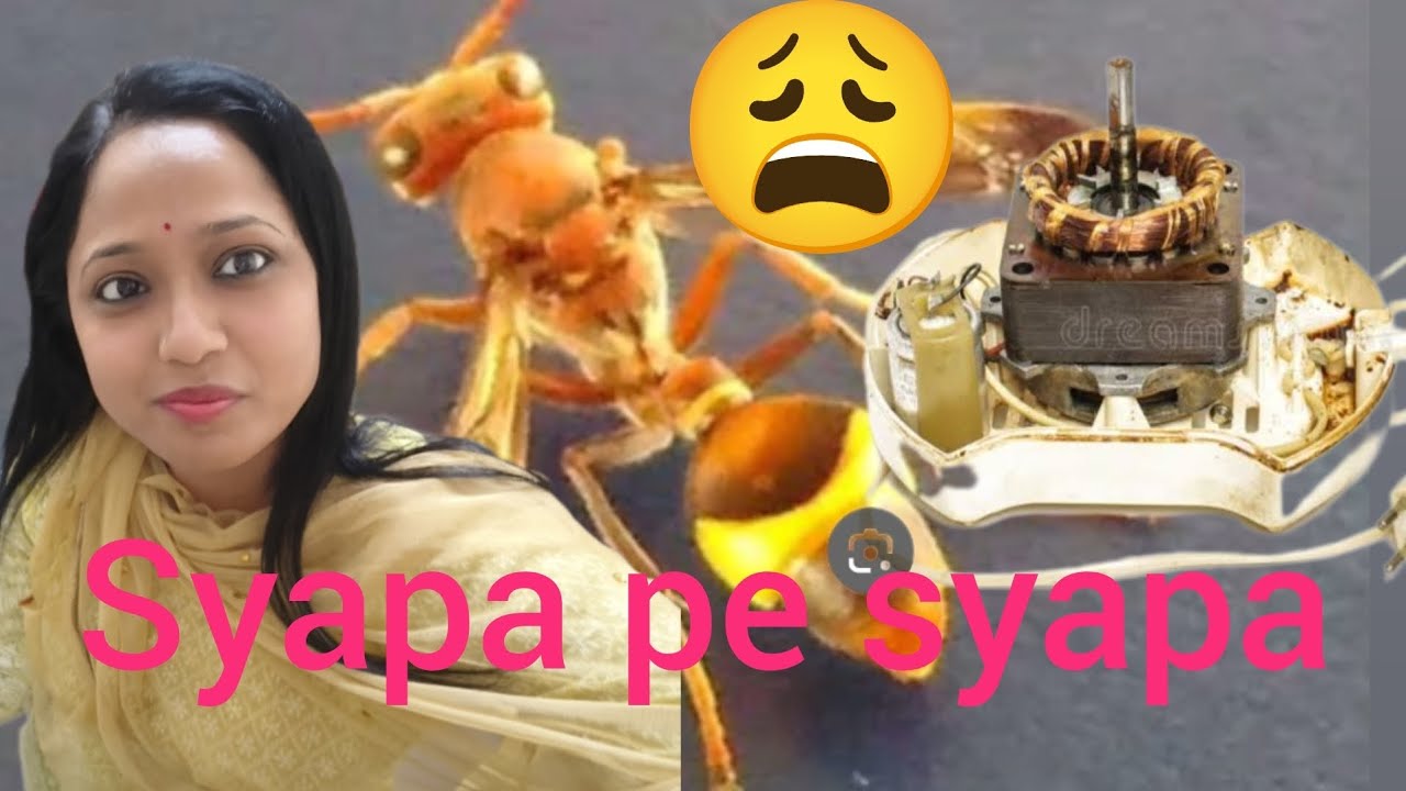 #aaj to sayapa day ghoshit 😱🤔🤔