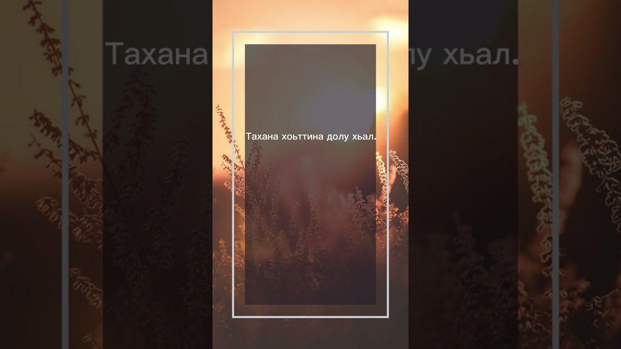 Шейх Яхъя. Таханлера хьал