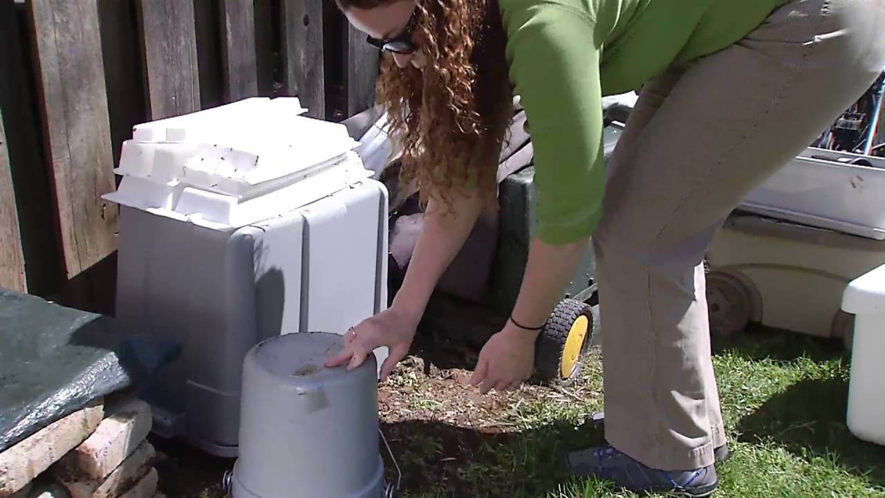 Mosquito Source Reduction