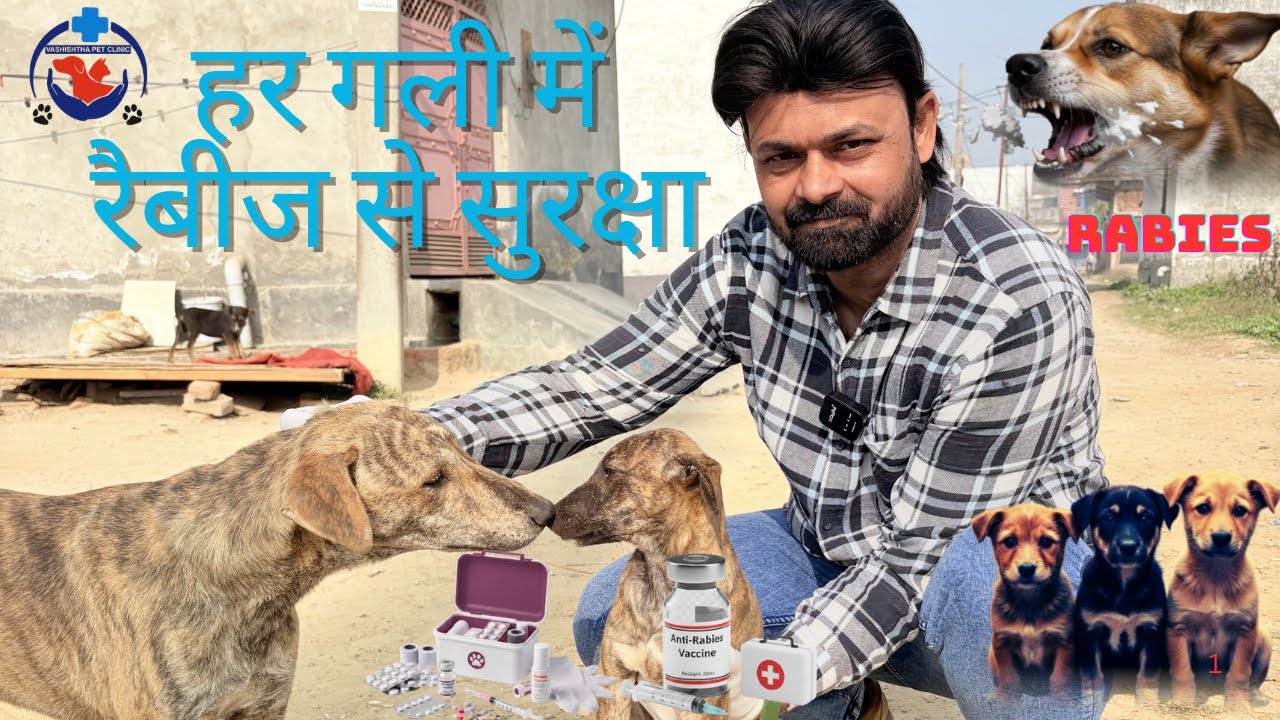#हर गली में रेबीज से सुरक्षा##🙏🏻🔥👍plz like kara 👍❤️