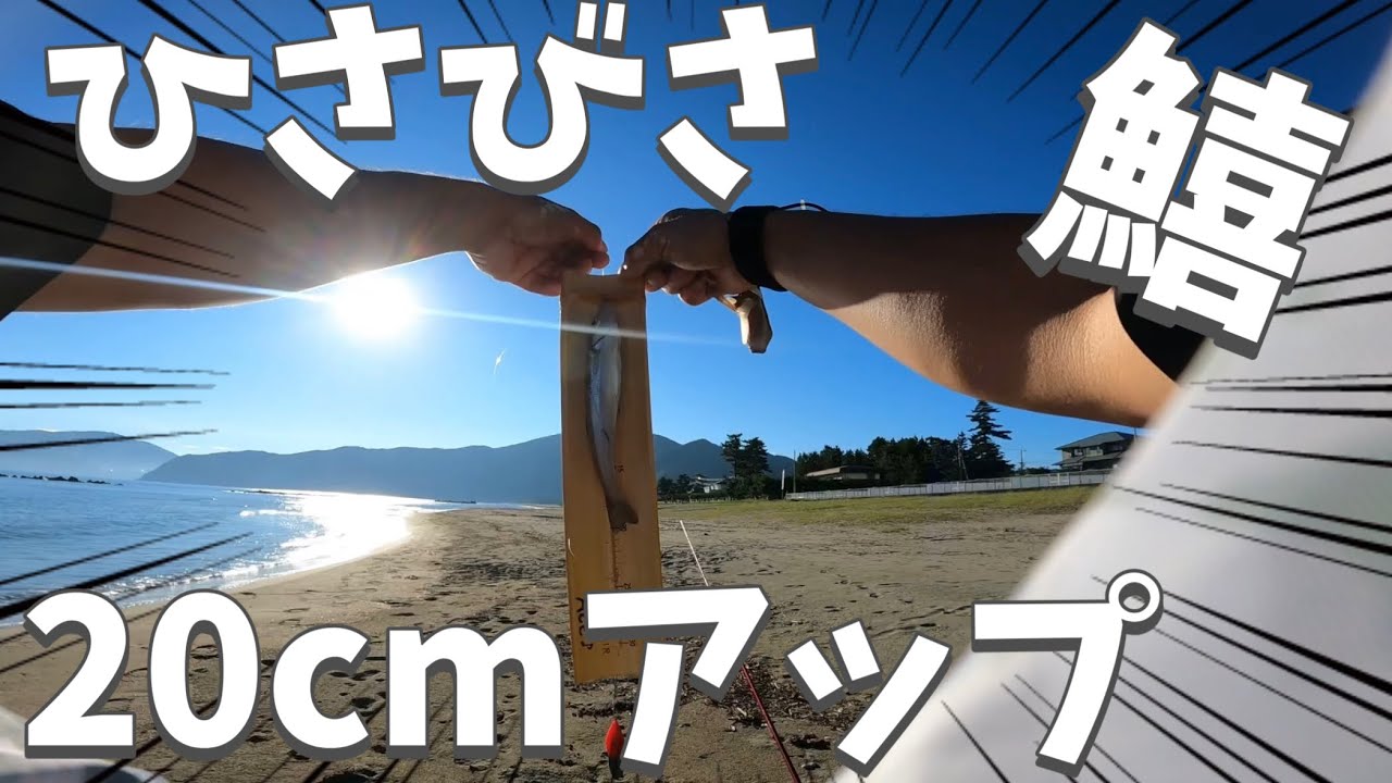 地元釣行！久々の20cmオーバーの鱚キスに歓喜！