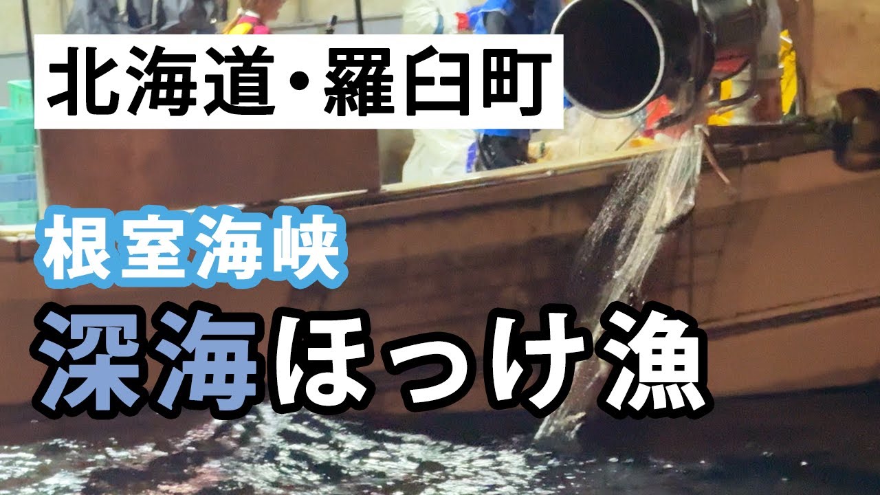 【北海道・羅臼町】世界自然遺産の海・ほっけ漁に同行してきました！