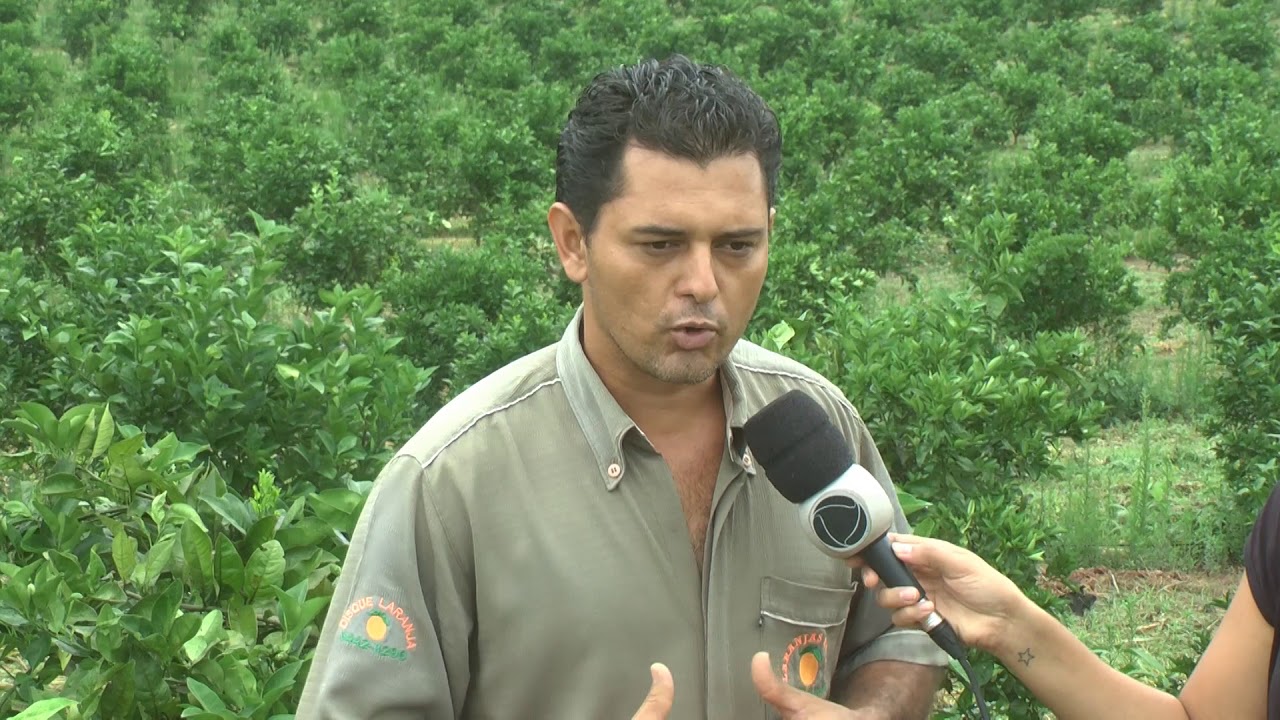 Rolim de Moura tem a maior  produção de laranja do estado