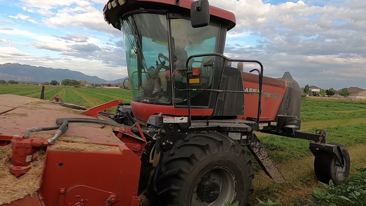 An Evening of Cutting Hay | Case IH Rotary Swather