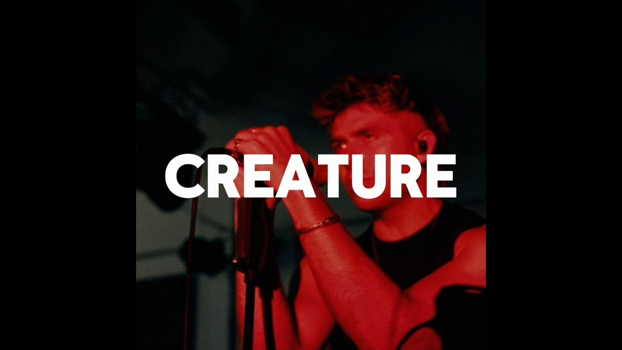 Daytime TV &ndash; Creatures (Official Visualiser)