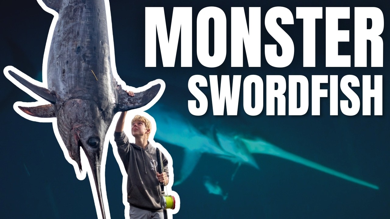 Swordfish - Pursuit of a Real Monster