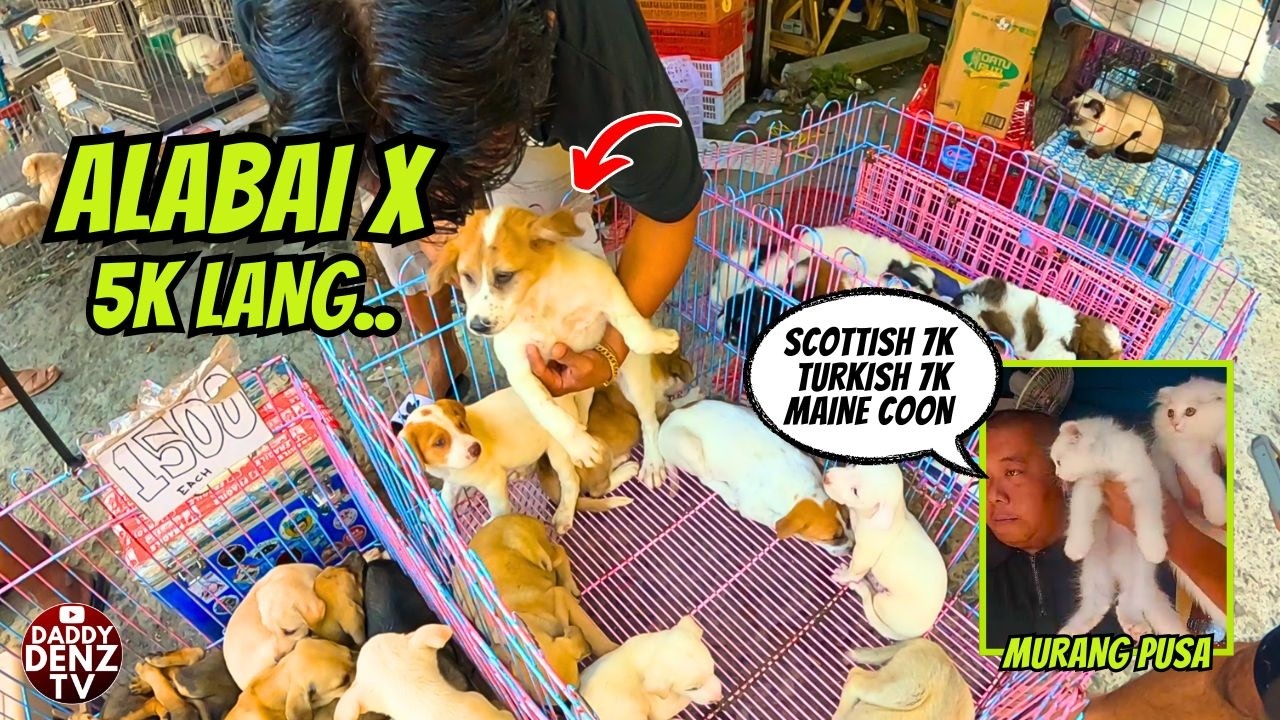 TIEMPUHAN MAKA-KITA NITO..  / PT2 MAR. 13 @BOCAUE PETS & LIVESTOCK MARKET