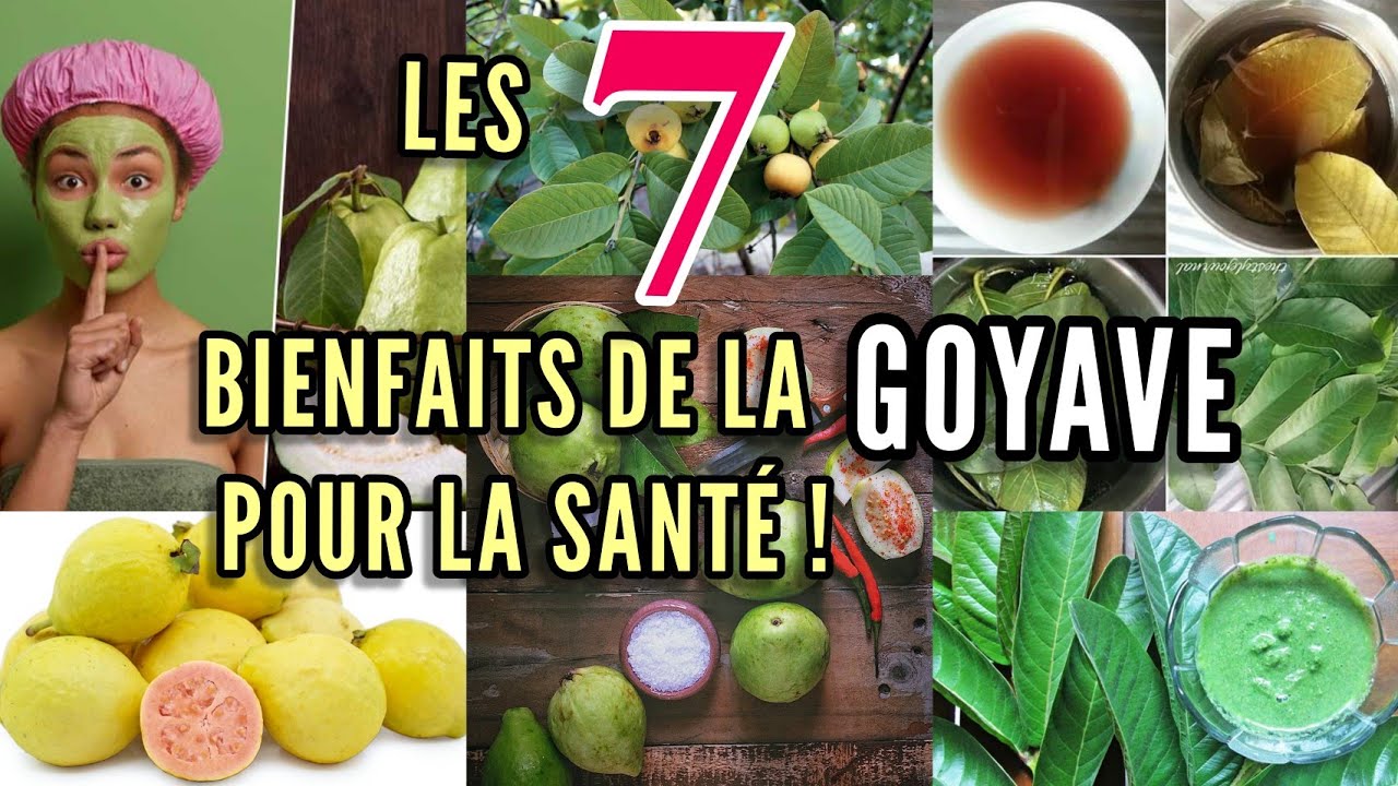 Tout savoir sur la goyave et ses feuilles pour votre santé