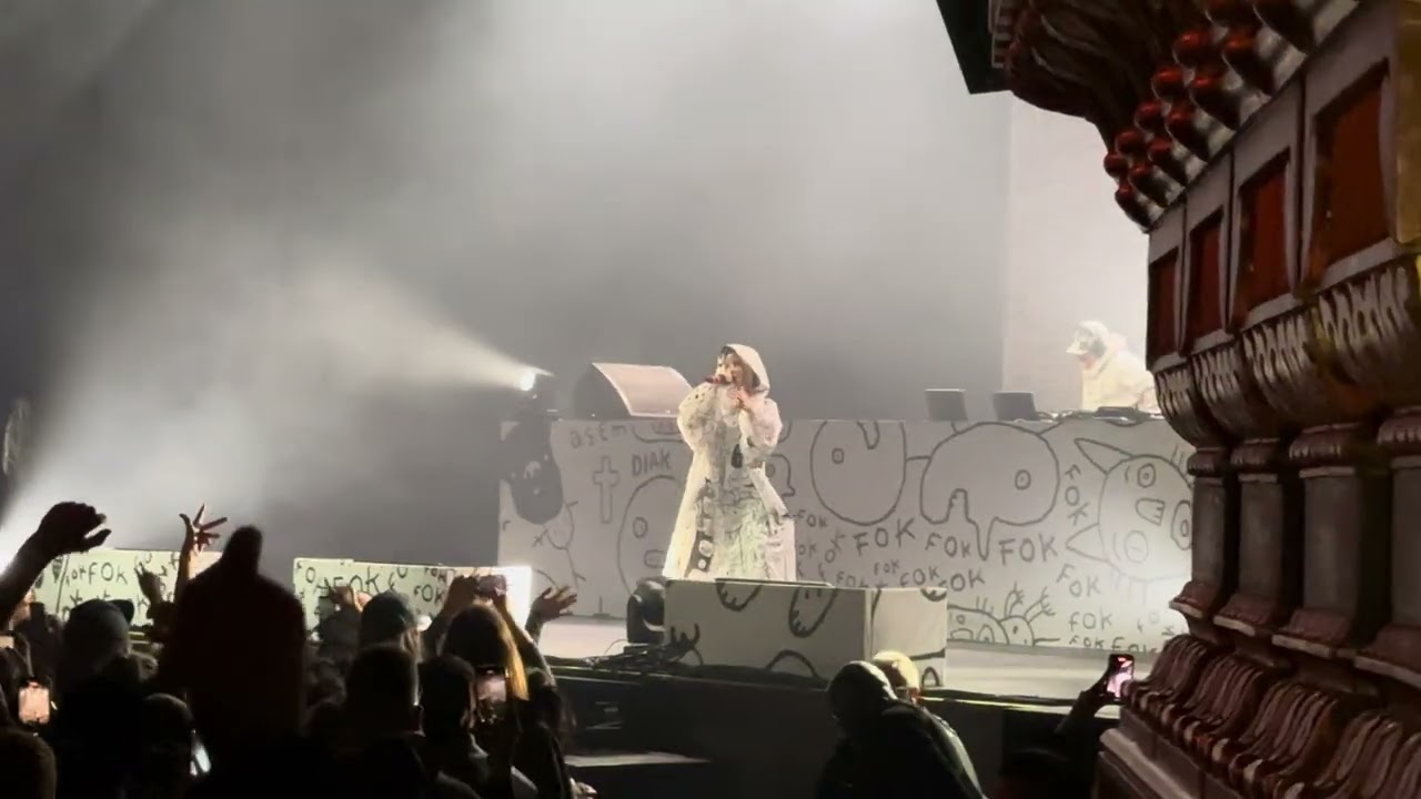Die Antwoord &ldquo;Fat Faded F@ckface&rdquo; 11/1/24 Oakland CA