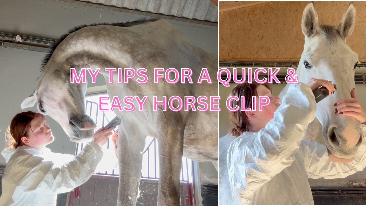 HORSE CLIPPING FULL TUTORIAL
