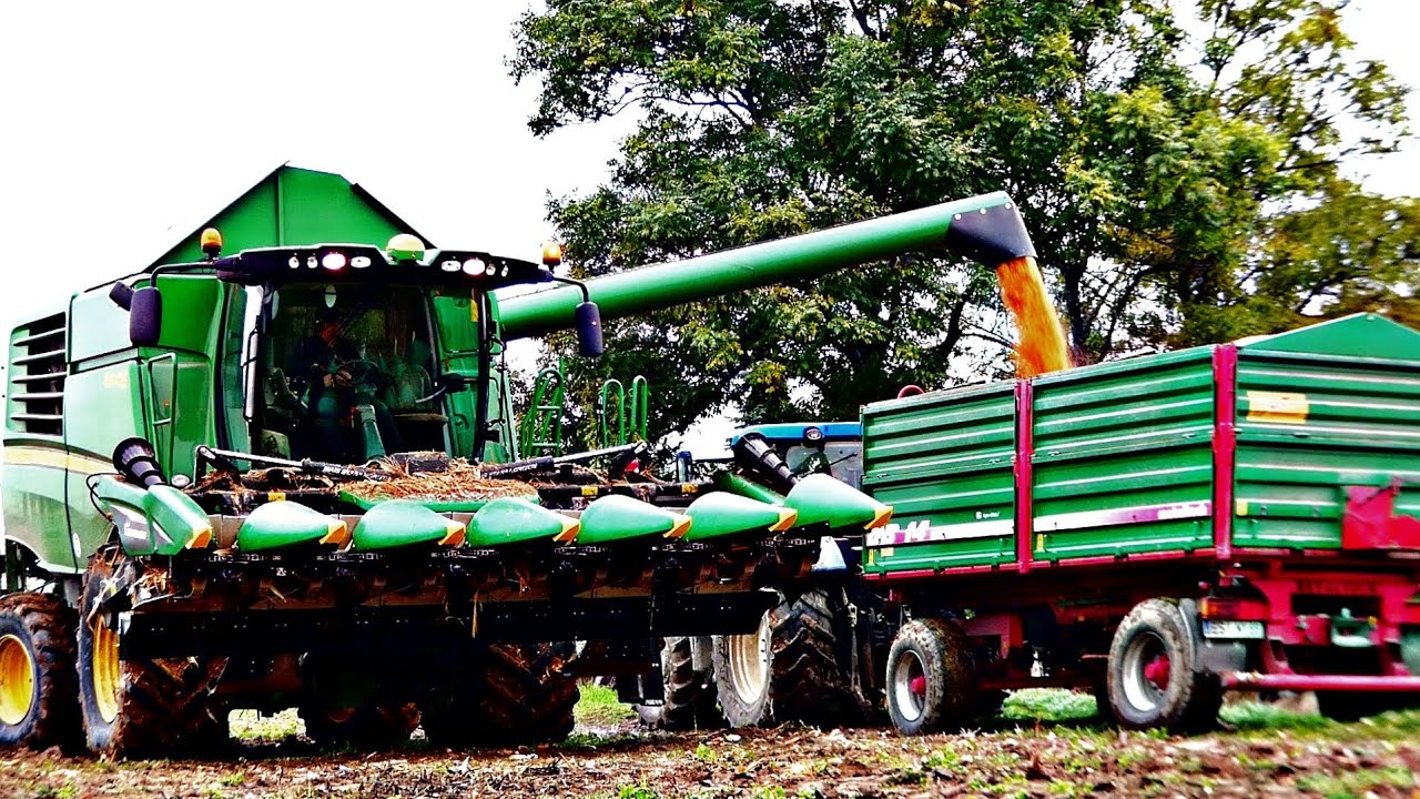 ⛔Polna Zadyma  ⛔Koszenie QQ na Ziarno 2020 ⛔ W G.R.CHOJECCY ⛔JOHN DEERE ⛔NEWHOLLAND ⛔KasztanTeam🔥
