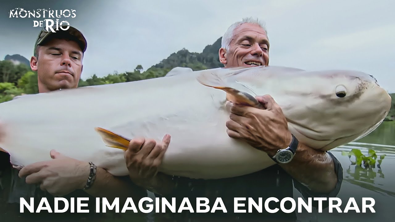 Los Gigantes Que Nadie Se Atreve A Pescar | Monstruos de R&iacute;o