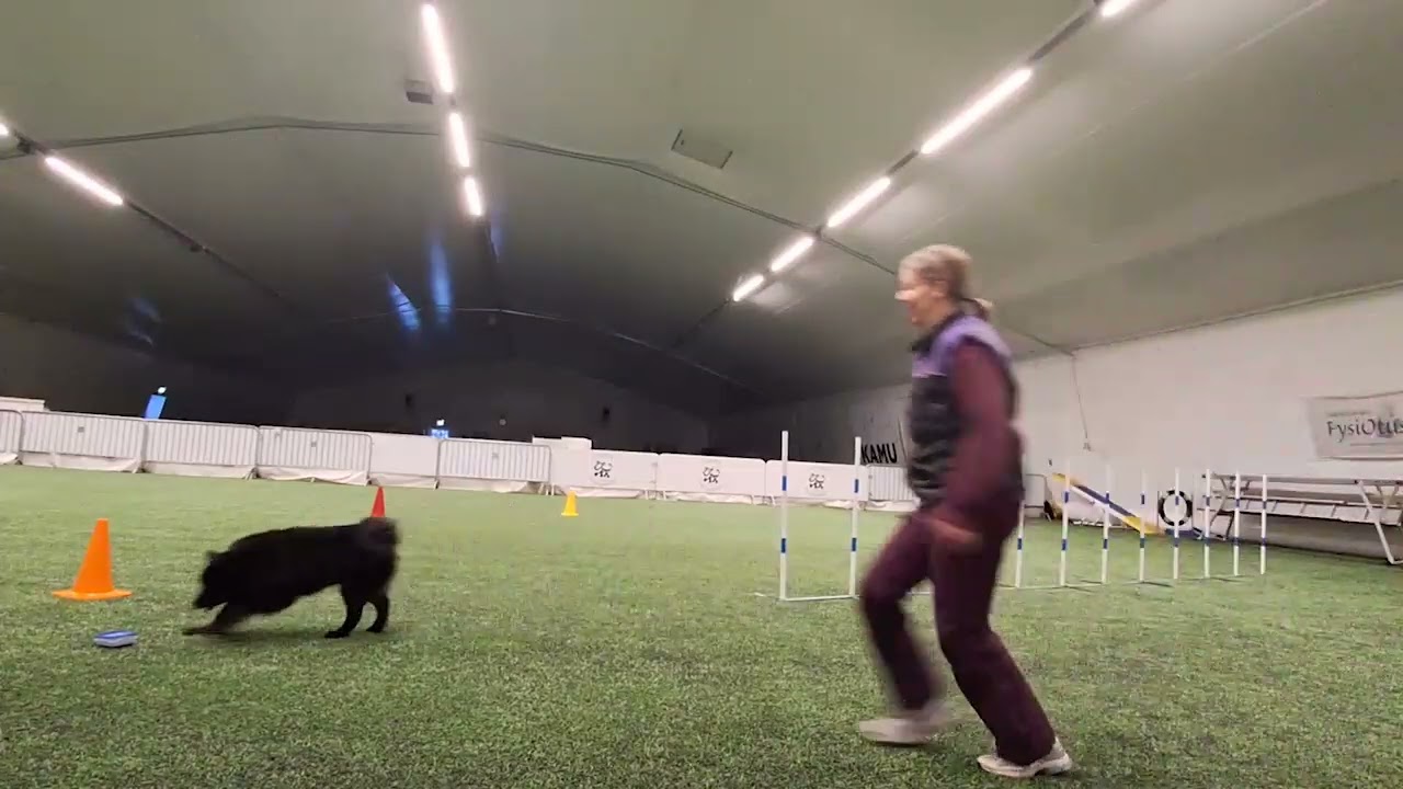 2026 vko7 omatoimitreenit2