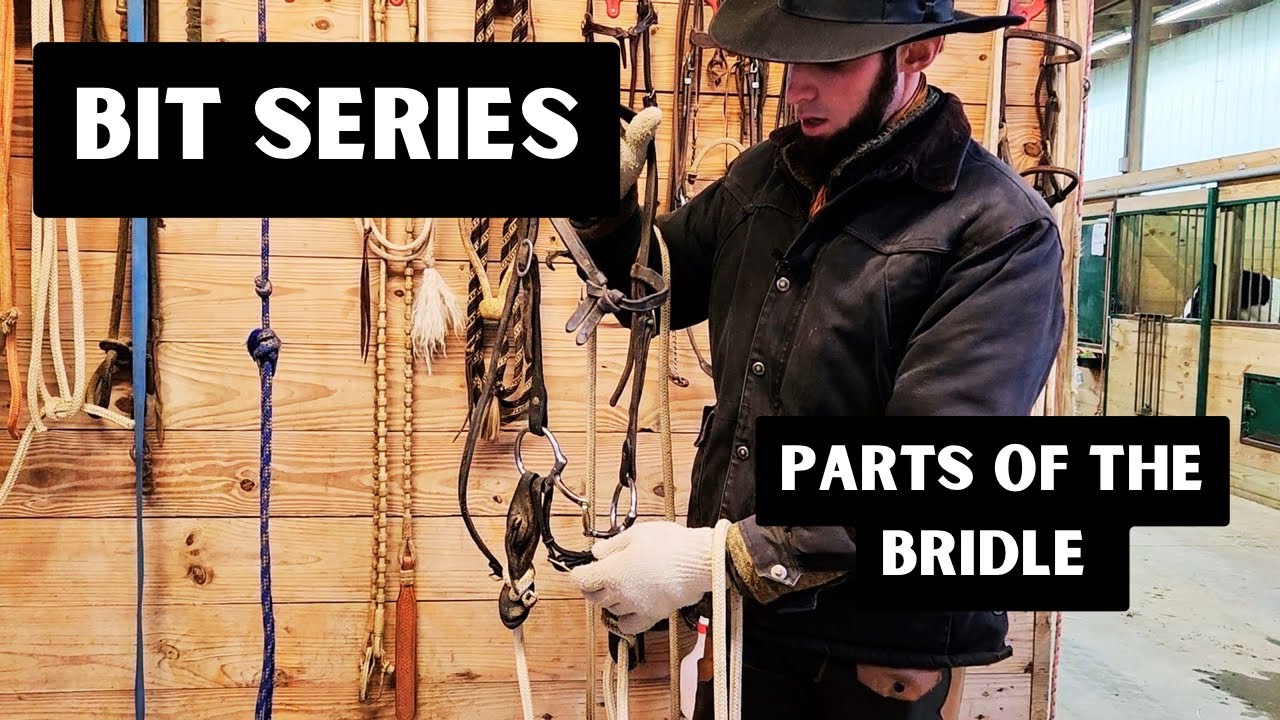 Parts of The Bridle