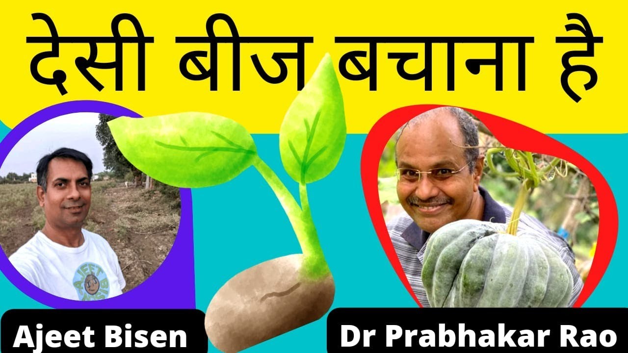 #36 देसी बीज 🌱बचाओ ,India को भारत बनाओ🇮🇳:Dr Prabhakar Rao #ajeetbisen