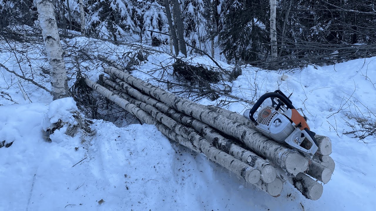 Helmikuinen polttopuusavotta - Stihl MS 201