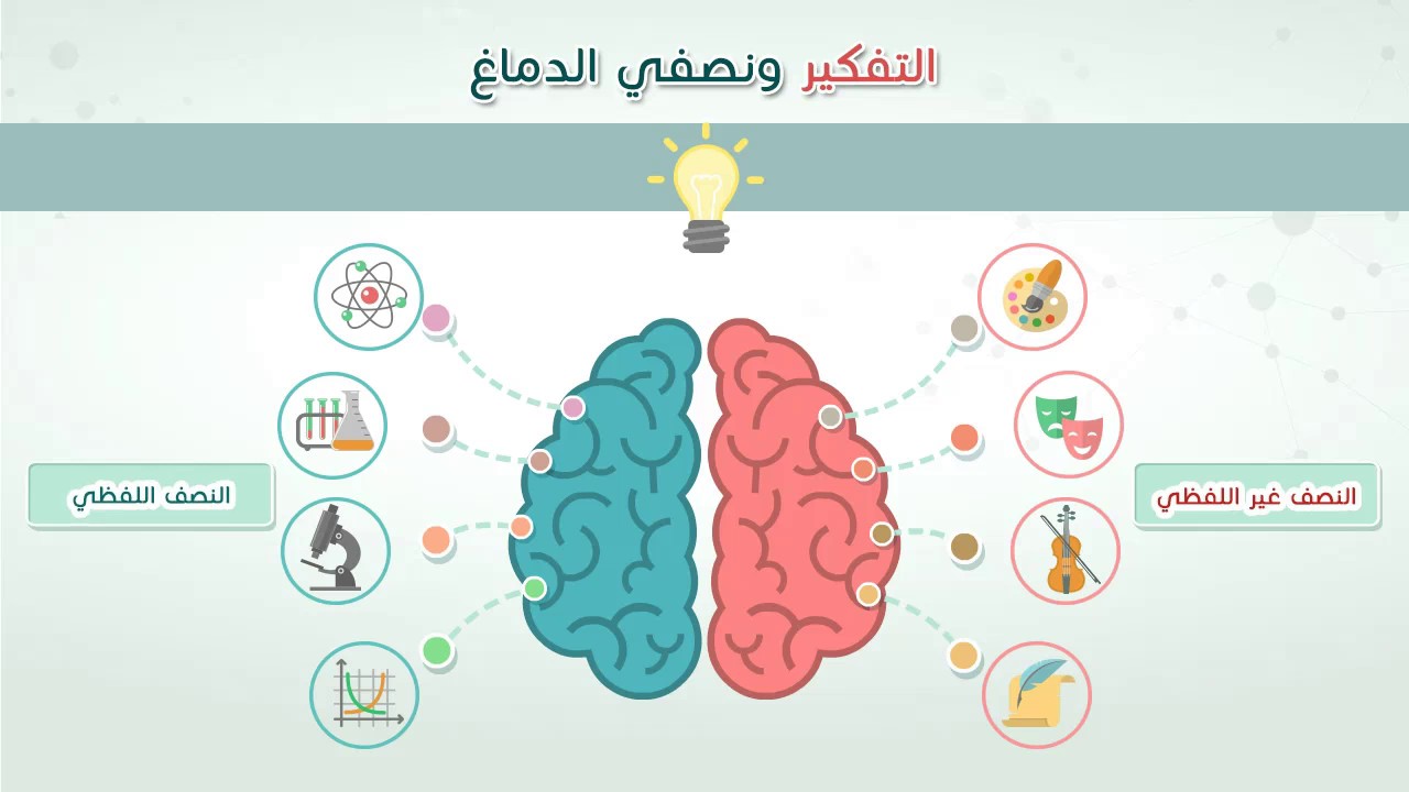 التفكير ونصفي الدماغ