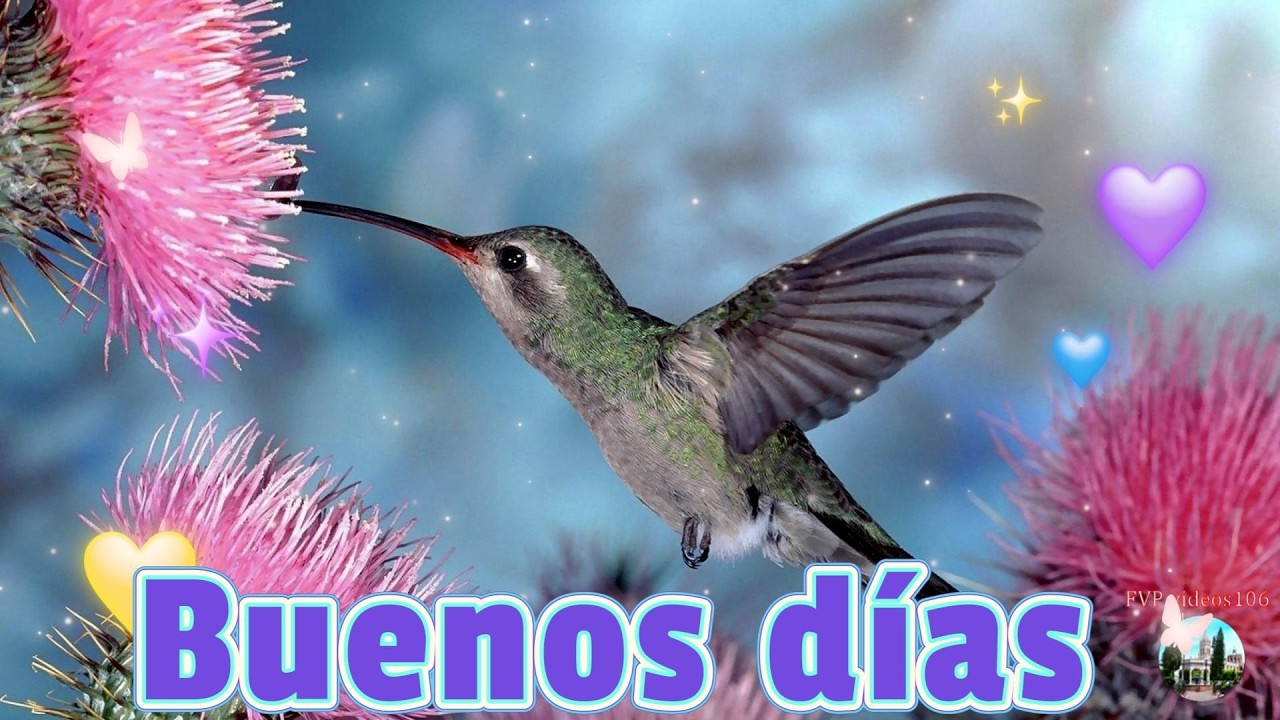 Buenos días que dios bendiga tu día