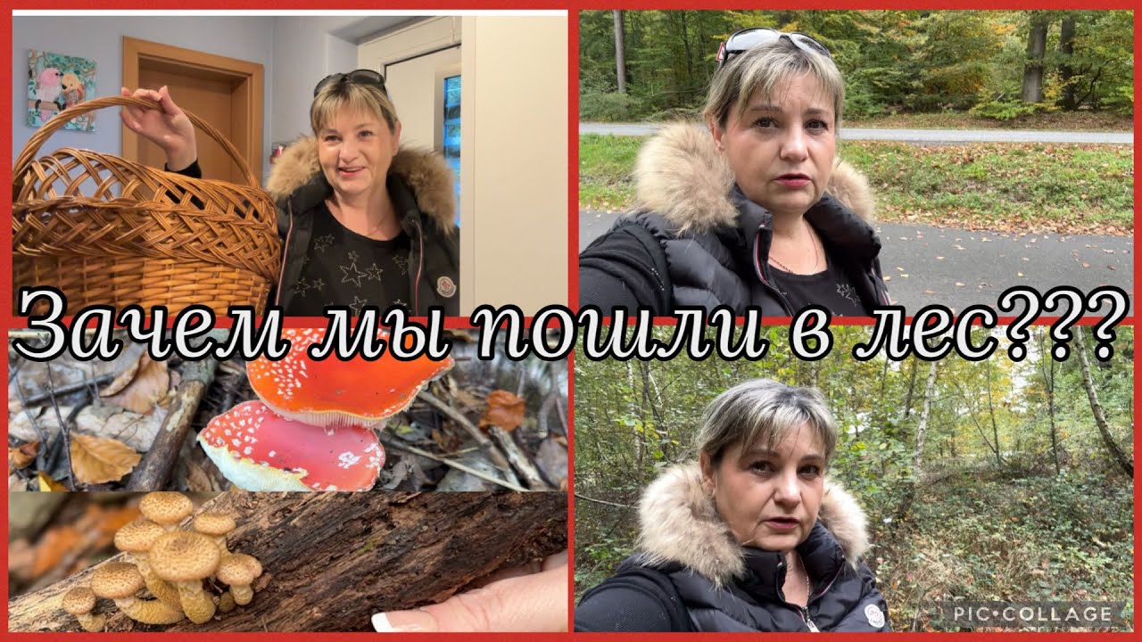 Зачем пошли в лес? Грибов наелись, нашли мухоморы 🍄 напоролись на мужика 🙈 приватный лес 