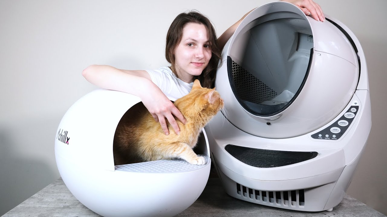 Litter-Robot III против ChillX AutoEgg: какой автоматический туалет лучше?