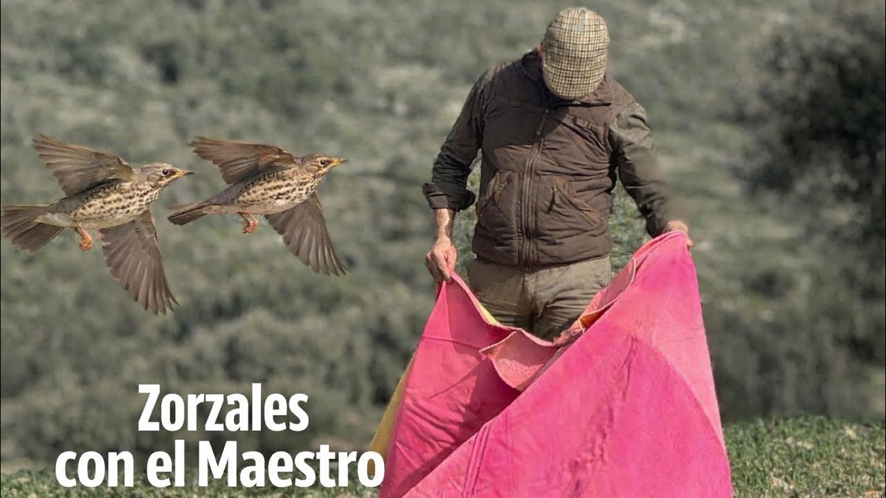 Zorzales con el Maestro