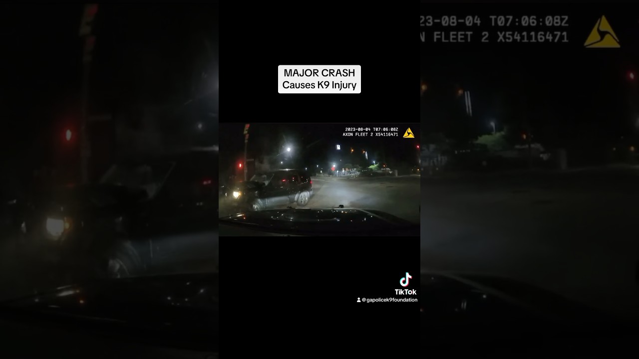 Major Crash! K9 Injured! Part 1