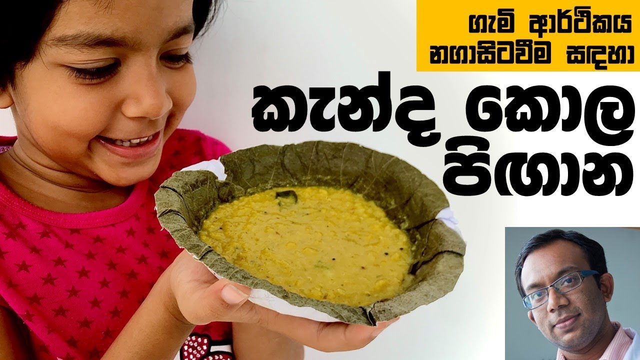 ව්‍යාපාරයක් විදිහට කැන්ද කොල පිඟාන් හදලා මුදල් හොයන්න බැරිද? : Science With Ruchira