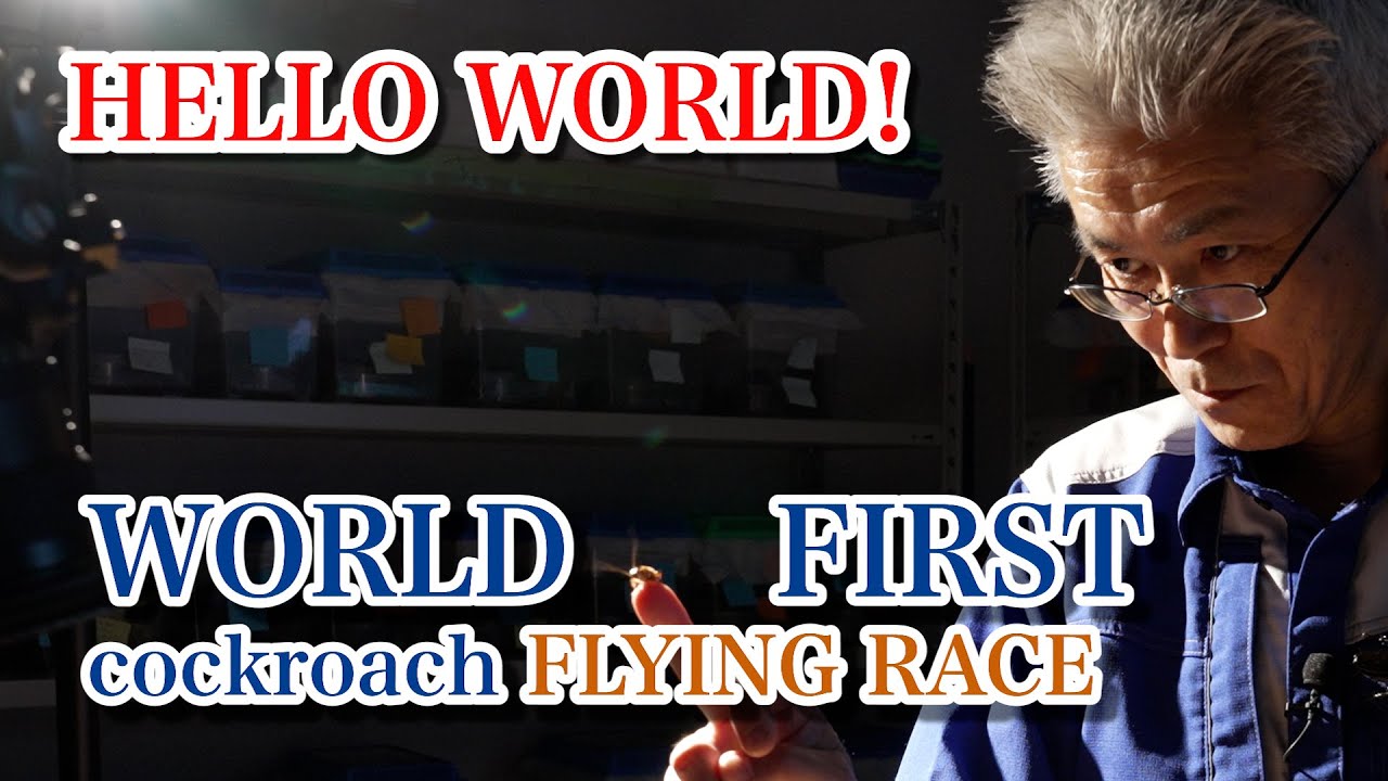 Cockroach Flying Championship!!　英語字幕バージョンのゴキブリ飛翔選手権!!